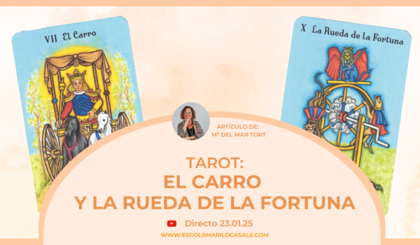 María del Mar Tort nos habla sobre las diferencias y similitudes entre El Carro y La Rueda de la Fortuna.